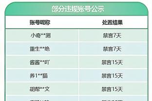 申京：范弗里特是我们在场上的教练 我们都不喜欢输球